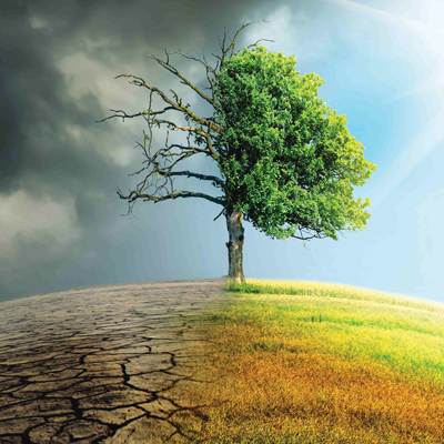 Climate